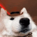bopbopbop emoji
