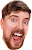Mrbeast144p emote