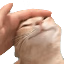 goodcat emote