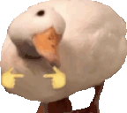 uwugoose emote