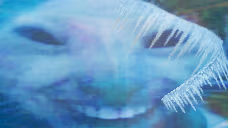 xddcold emote