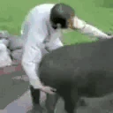 ppPoof emote