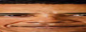 StrechedObama emote