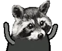 RaccTANTIES emote
