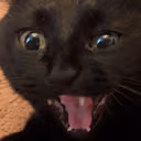 CE_AHHHHHH emote