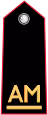 ccallievomaresciallo emote