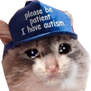 SadCatAutism emote