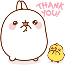 MolangThankYou emote