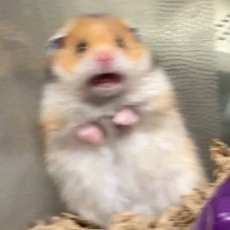 ahhhhh emoji