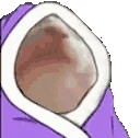 catJAMBLANKET emote