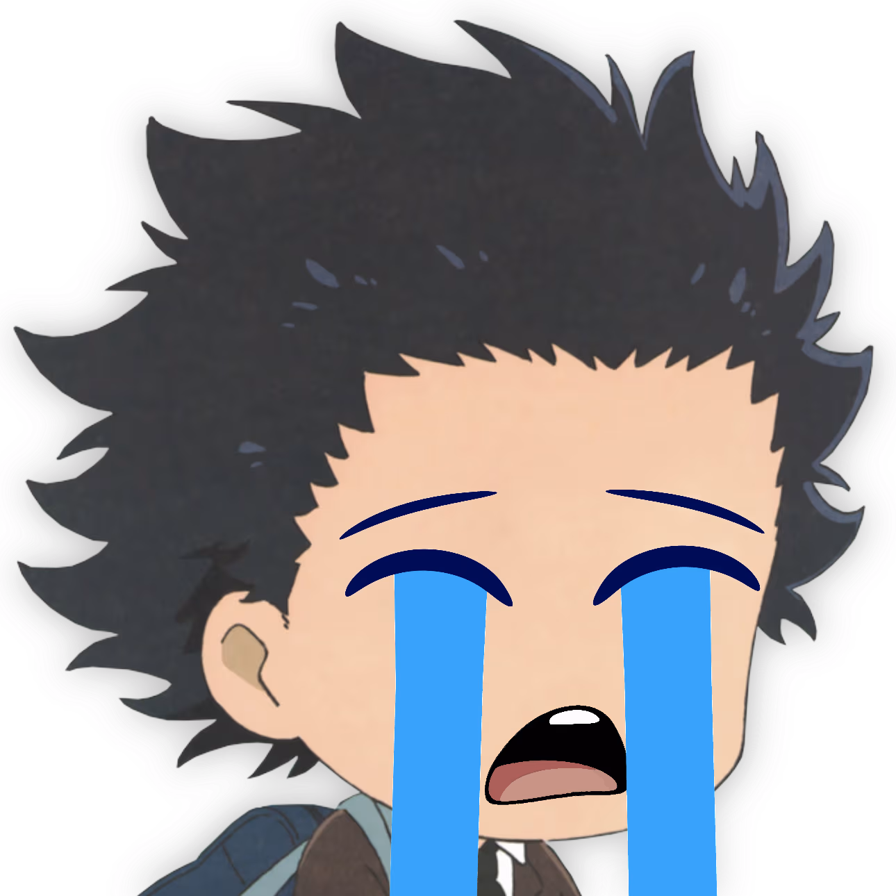 ShoyaIshida_SadCry emote