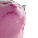 lagJAM emote
