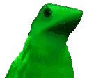 RareBoi emote