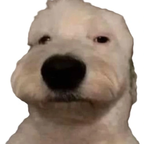 waos emote