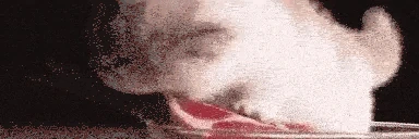 CarnivoreAnimal emote