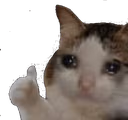 CE_SadThumbsUp emote