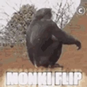 MonkeyFlip emote