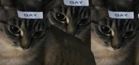 wekos emote