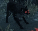 dracJAM emote