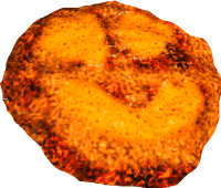 SMILE emoji