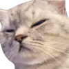 leoZen emote