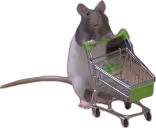 SHOPPING emote