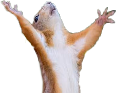 dramaticSquirrel emote