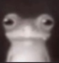 FROG static emote