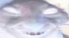 ddx emote