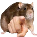 RatPoint emote