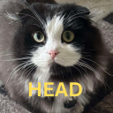 Dhe3d static emote