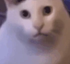 HUH emote