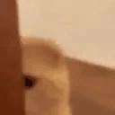 Lurk emote