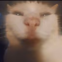 iamfr emote