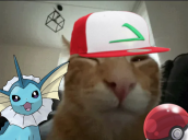 buhemon static emote