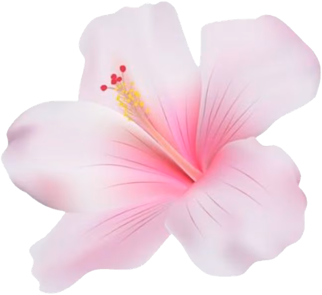 hibiscus emote