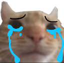 cry emote