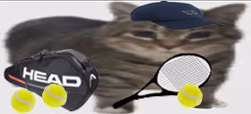 tenisik emote
