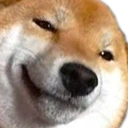 DogeSmug emote