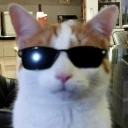 Kadse emote