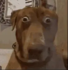 terrified emote
