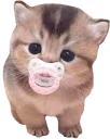 bebi emote