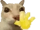mr_wavey emote