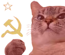 CommieCat emote