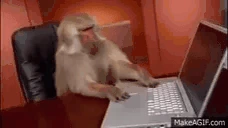 MONKEY emote