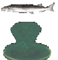 JoelTwister emote