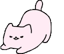 PlayfulCat emote