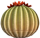 NGOLO emote