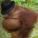 Gangsta_Monkey emote