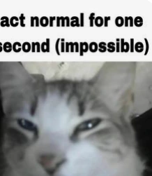 impossible emote